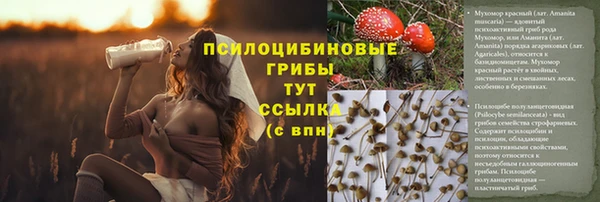 эйфоретик Горнозаводск