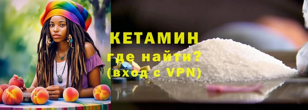 индика Горно-Алтайск