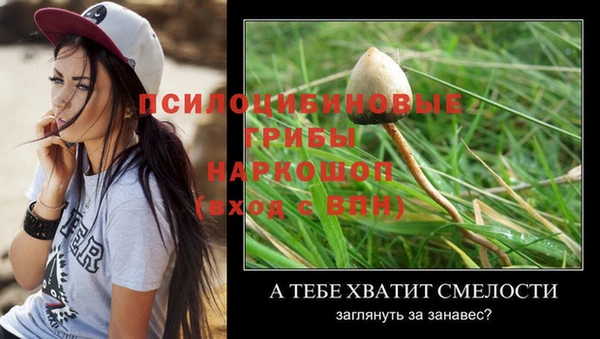 эйфоретик Горнозаводск