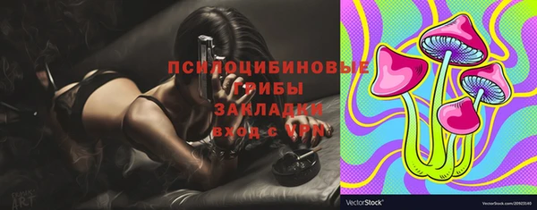 индика Горно-Алтайск