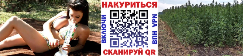 Бошки Шишки LSD WEED  Купить  Яранск 